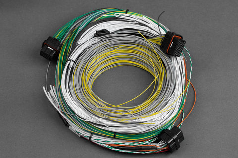 KV Series ABCD Wiring Harness-Motorsport Grade – Spec Performance ...